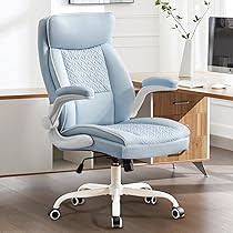 Chaise de Bureau Ergonomique Confortable Hellove
