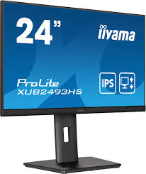 Écran Iiyama XUB2493HS B5 - Performance et Précision IPS