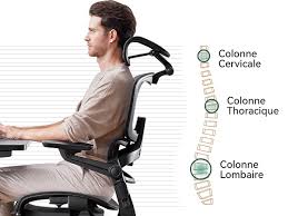 Accoudoirs Ergonomiques HINOMI pour un Confort Optimal