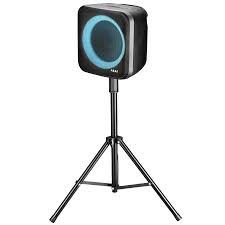 Enceinte Bluetooth Portable avec Microphone - Un Son de Qualité dans un Format Compact